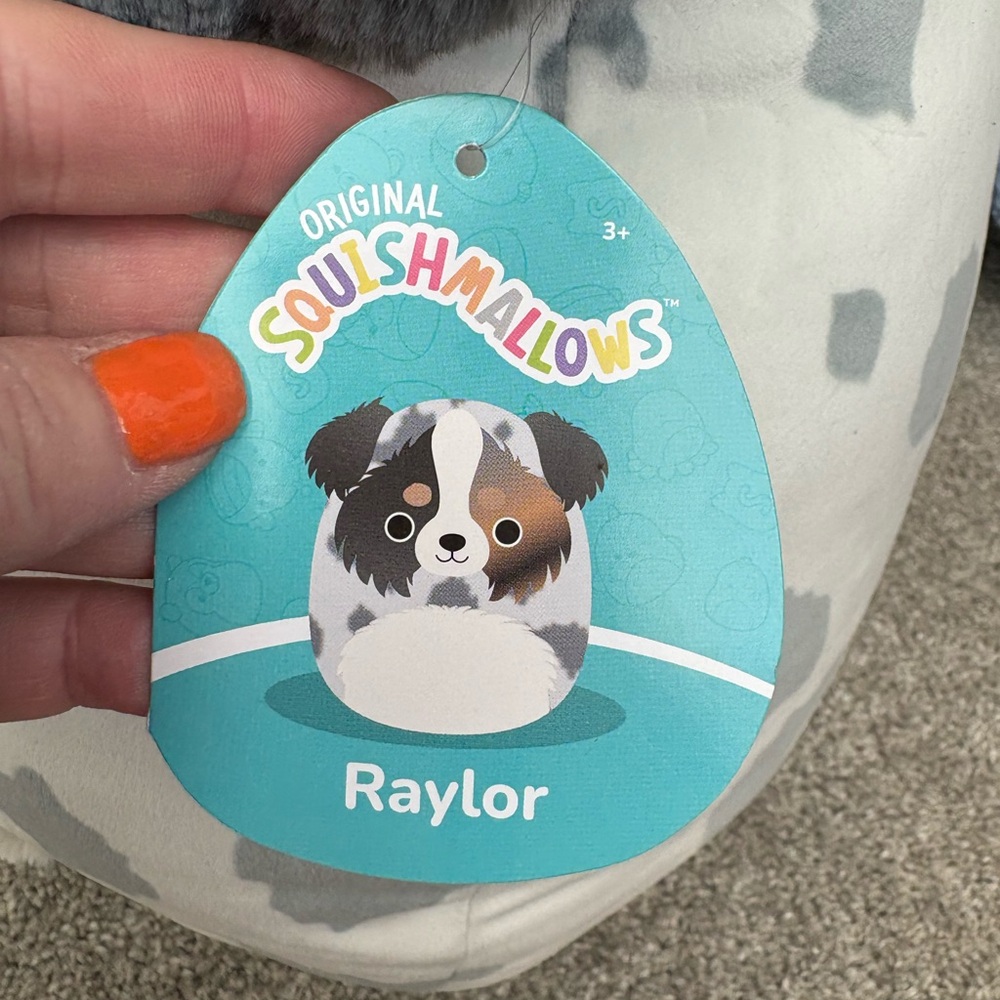 Squishmallows Raylor the Australian Shepherd large NWT - Picture 5 of 8